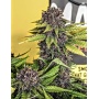 Black bud